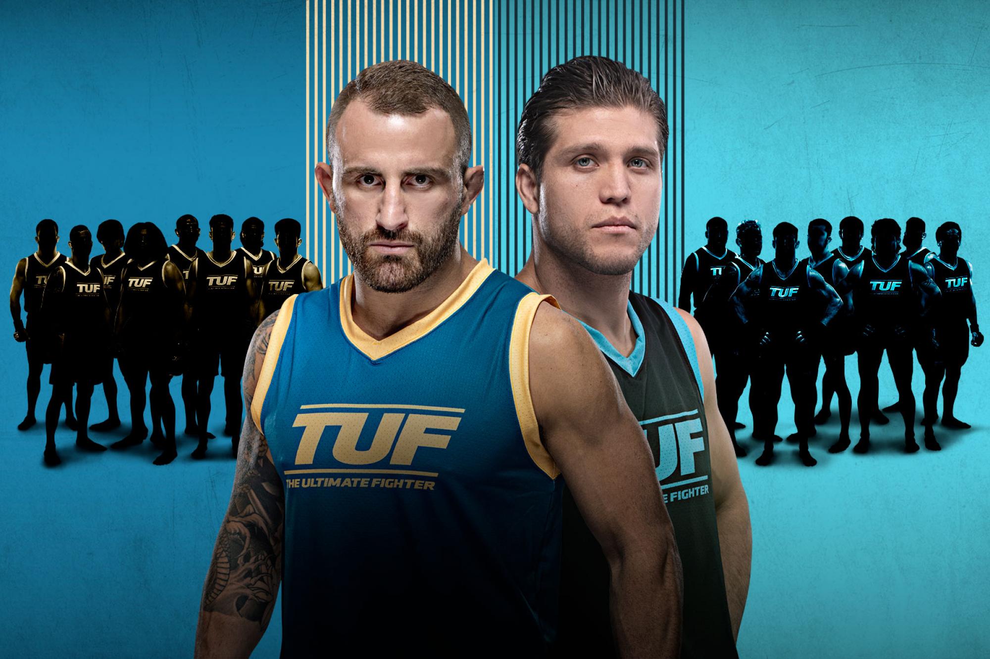 Watch The Ultimate Fighter - Season 29