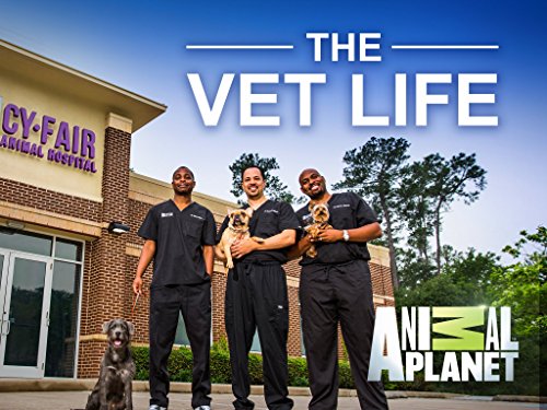 Watch The Vet Life - Season 1