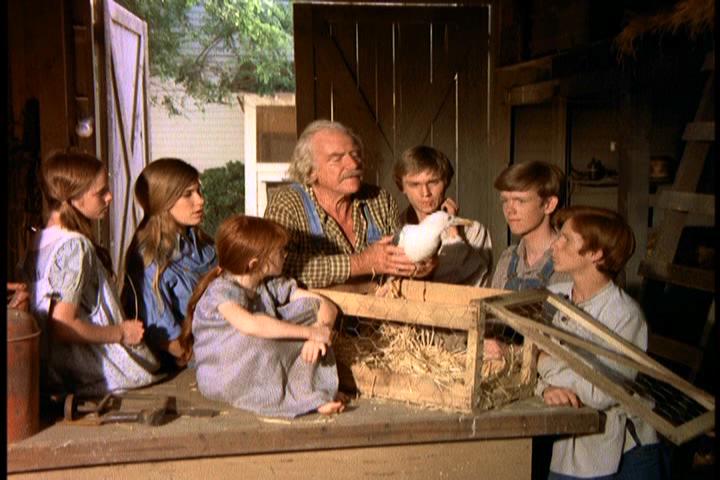 Watch The Waltons - Season 7