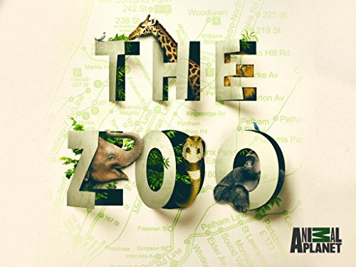 Watch The Zoo - Season 3