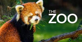 Watch The Zoo - Season 5