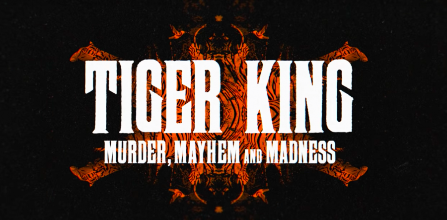 Watch Tiger King: Murder, Mayhem and Madness - Season 1