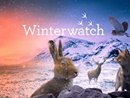 Watch Winterwatch - Season 11