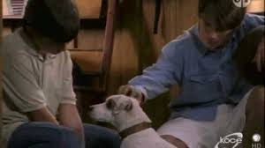 Watch Wishbone - Season 2